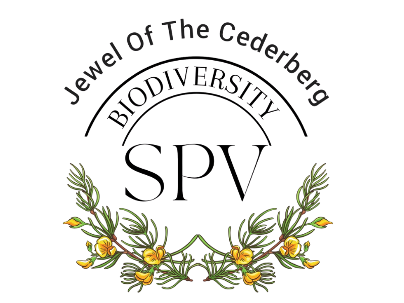 Jewel of the Cederberg Biodiversity SPV logo